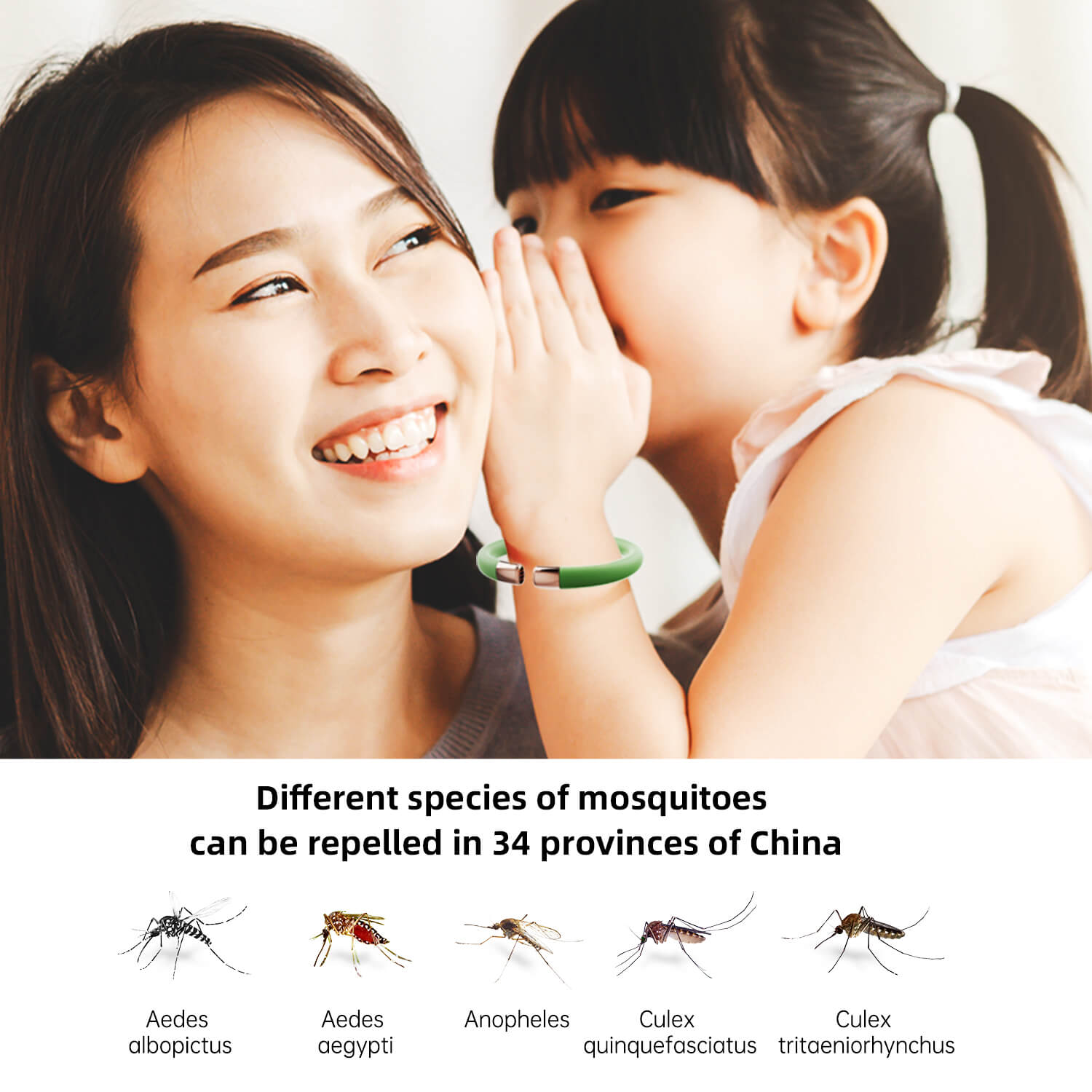Mosquito repellent bracelet